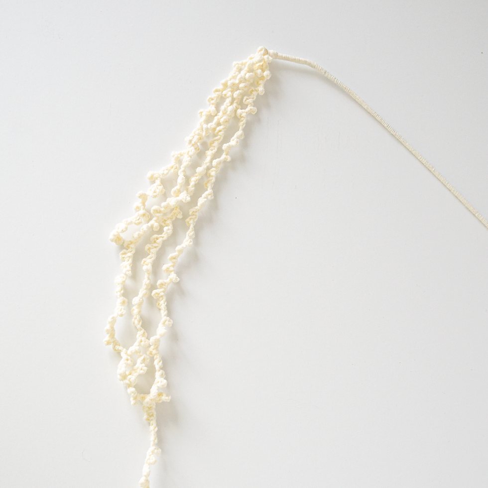 Miniature : Amaranthus