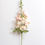 Miniature : Snapdragon
