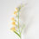 Thumbnail: Freesia