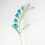 Thumbnail: Freesia