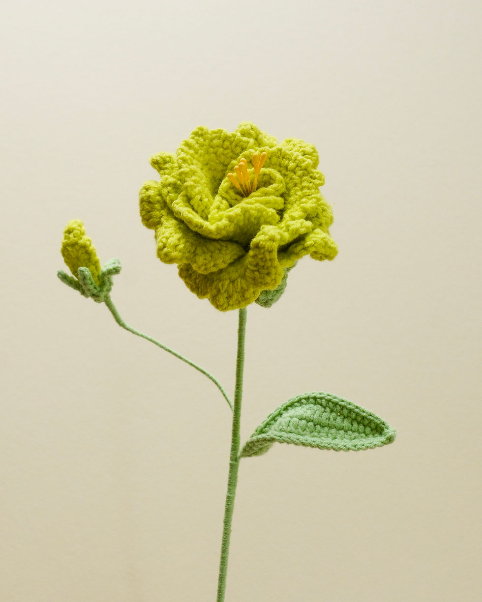 Thumbnail: Lisianthus