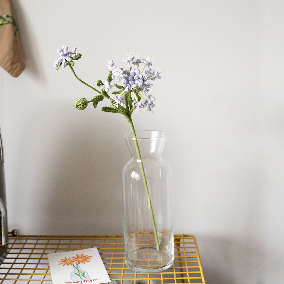 Miniature : Blue Lace