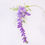 Miniature : Wisteria