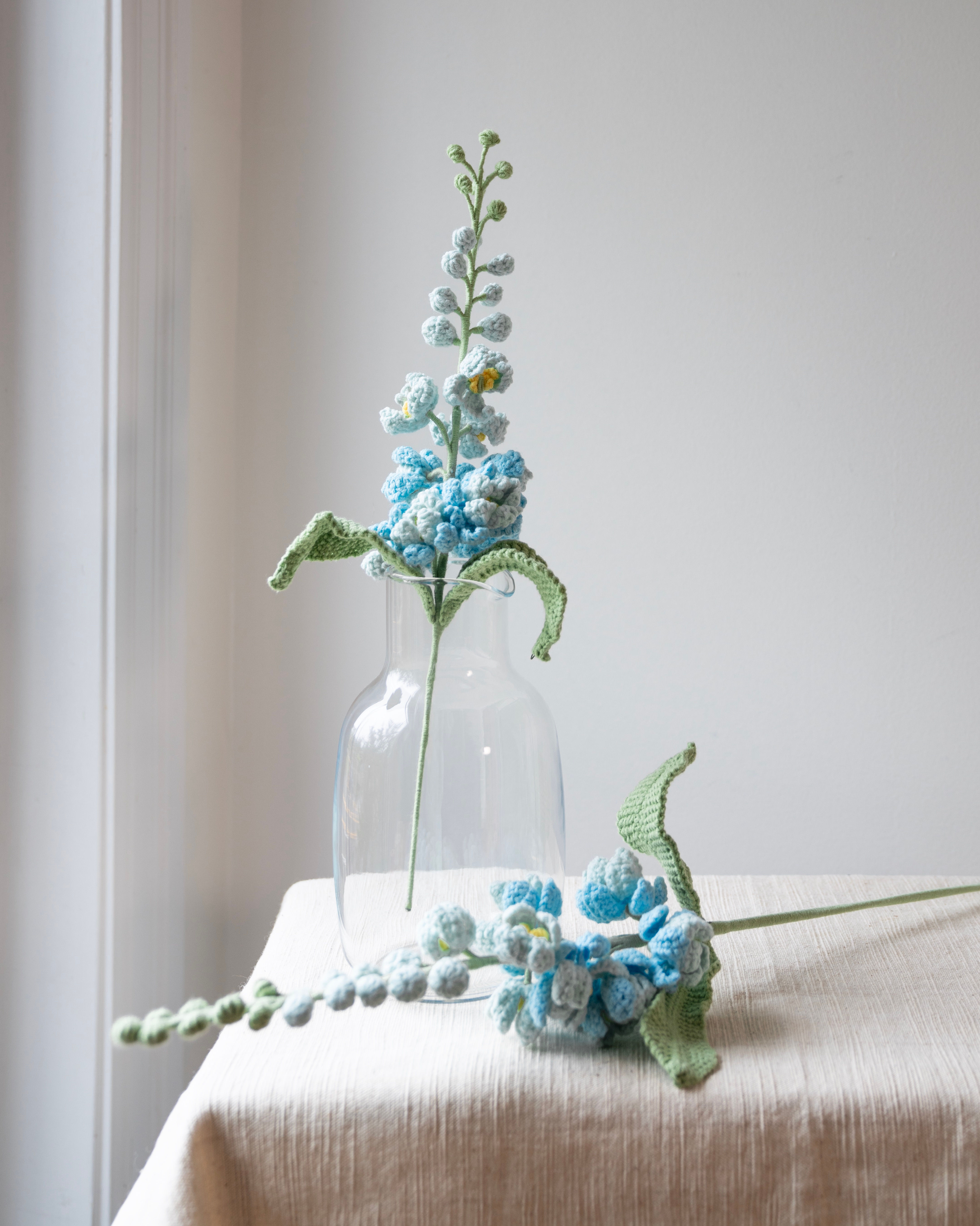 Delphinium