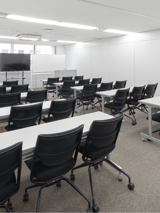 Impianto di video proiezione e amplificazione installato in una sala consiliare.