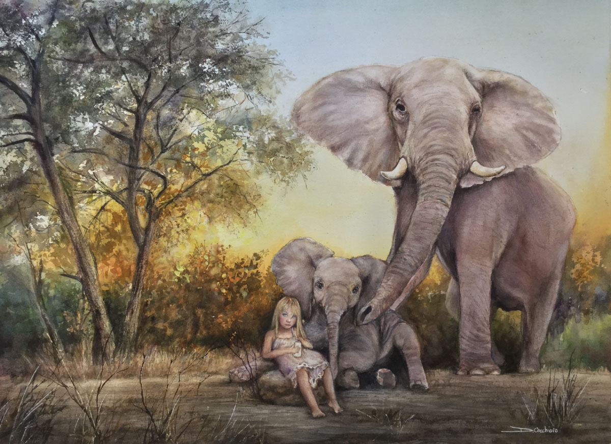 Endangered World: Protection