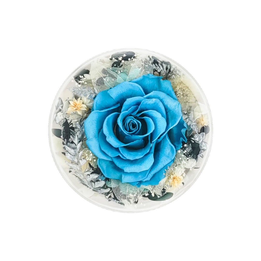 花樣時光圓舞燈 - 碧藍俯瞰角度