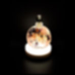 Herbarium浮游花瓶 - 日系和風（粉紅）連燈座