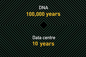 DNA SHELL LIFE.png