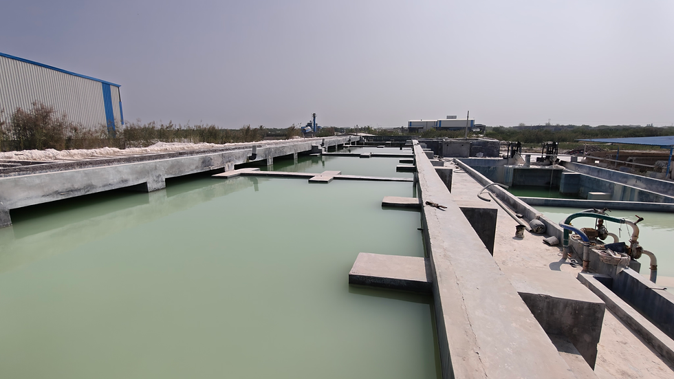 Silica sand processing plant in India