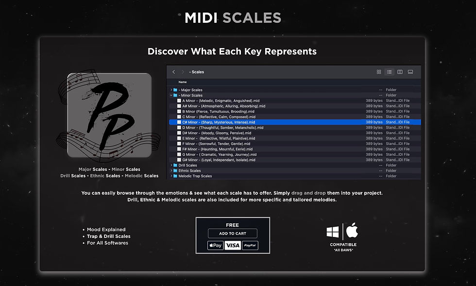 Thumbnail: Scales | Producer Paks