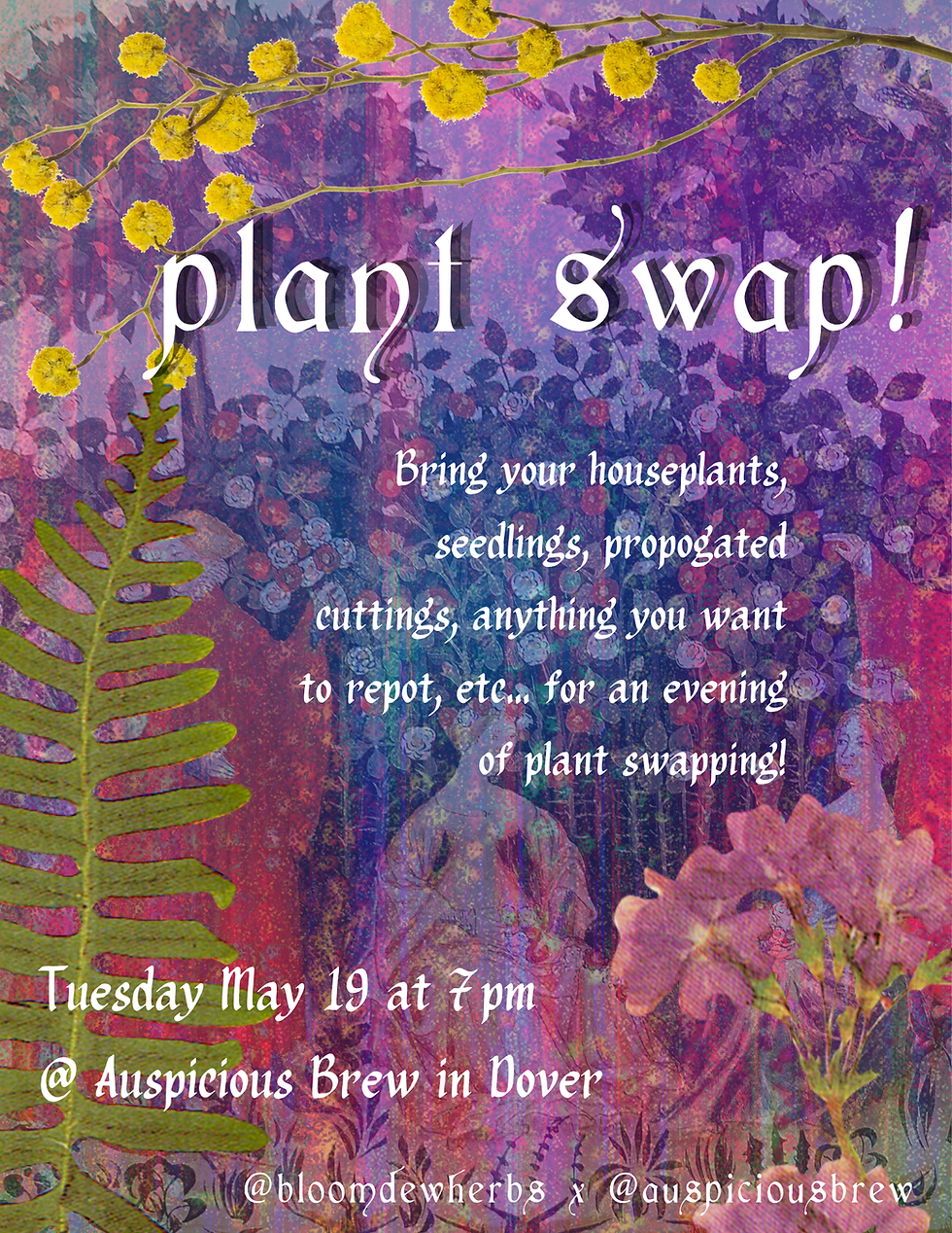 JUST ADDED! Plant Swap with Bloom Dew Herbs