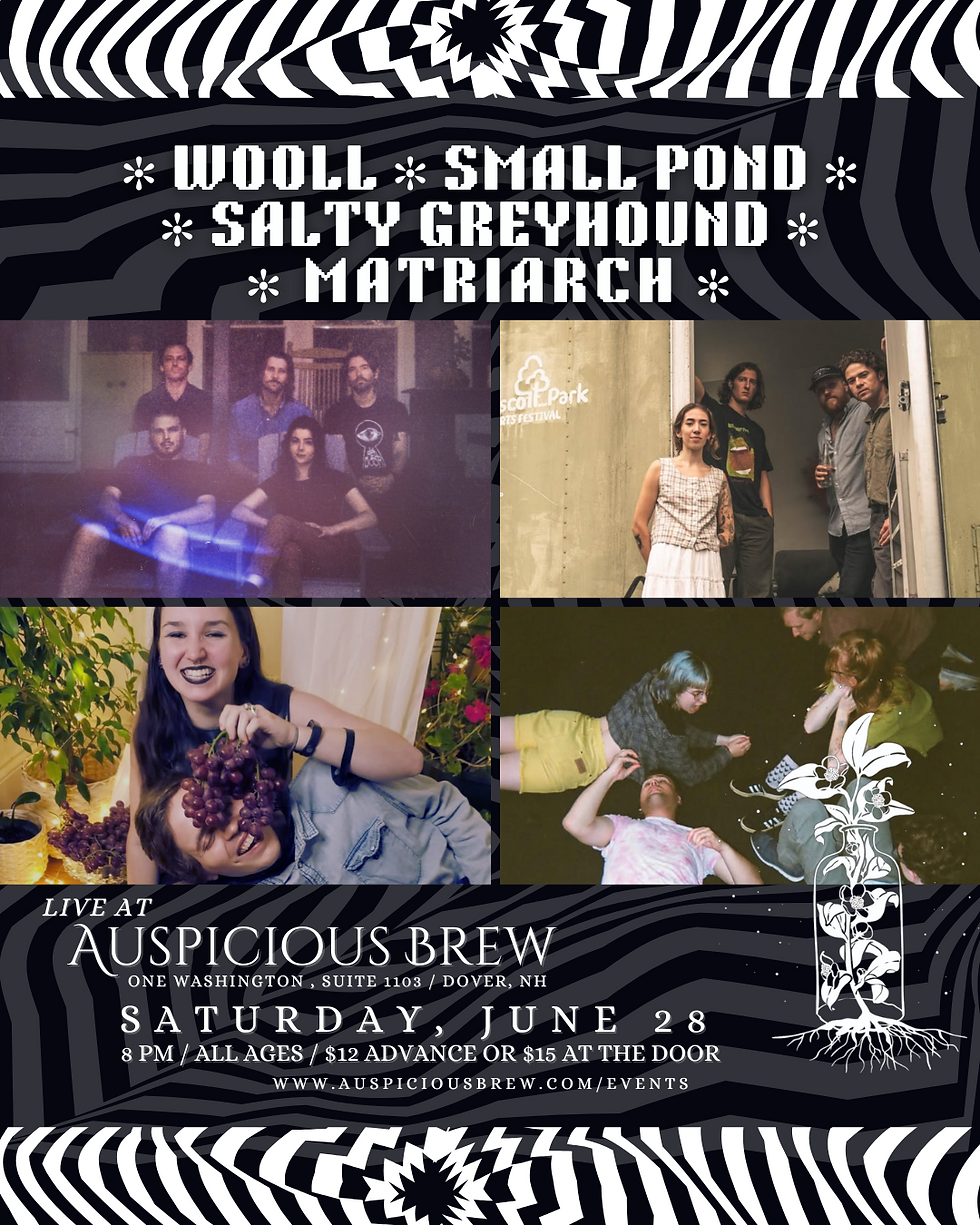 LIVE MUSIC: Wooll // Small Pond // Salty Greyhound // Matriarch