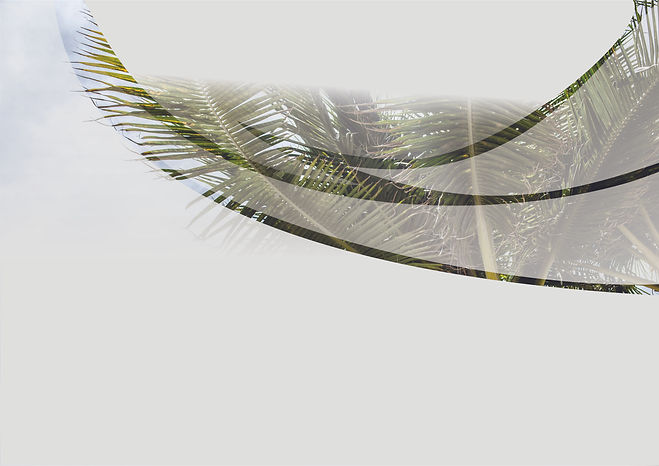 Background desing3.jpg