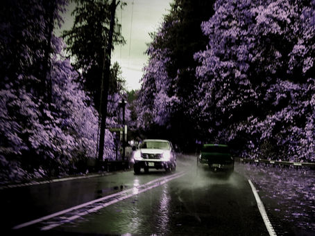 Tears on a Casket (Short Story)