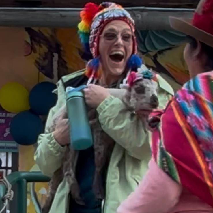 Don't chase joy. Let is surprise you. And when it shows up holding a baby alpaca.. embrace it.