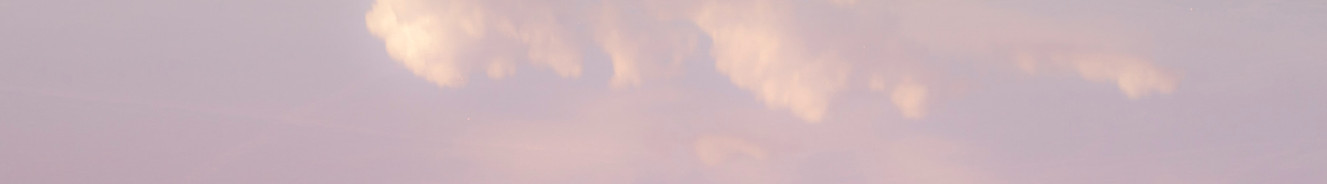 Reflection_edited.jpg