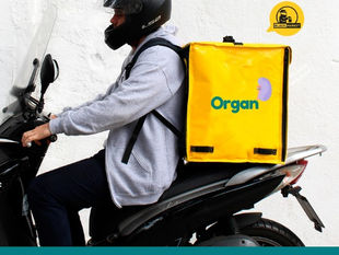 The history of an organ