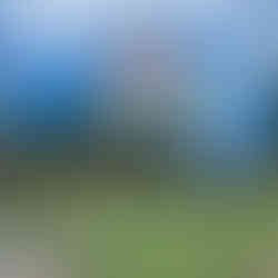 Quartier Wynwood Miamia art mural