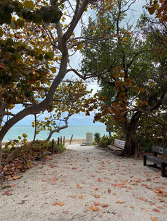 Cape Florida Lighthouse Miami