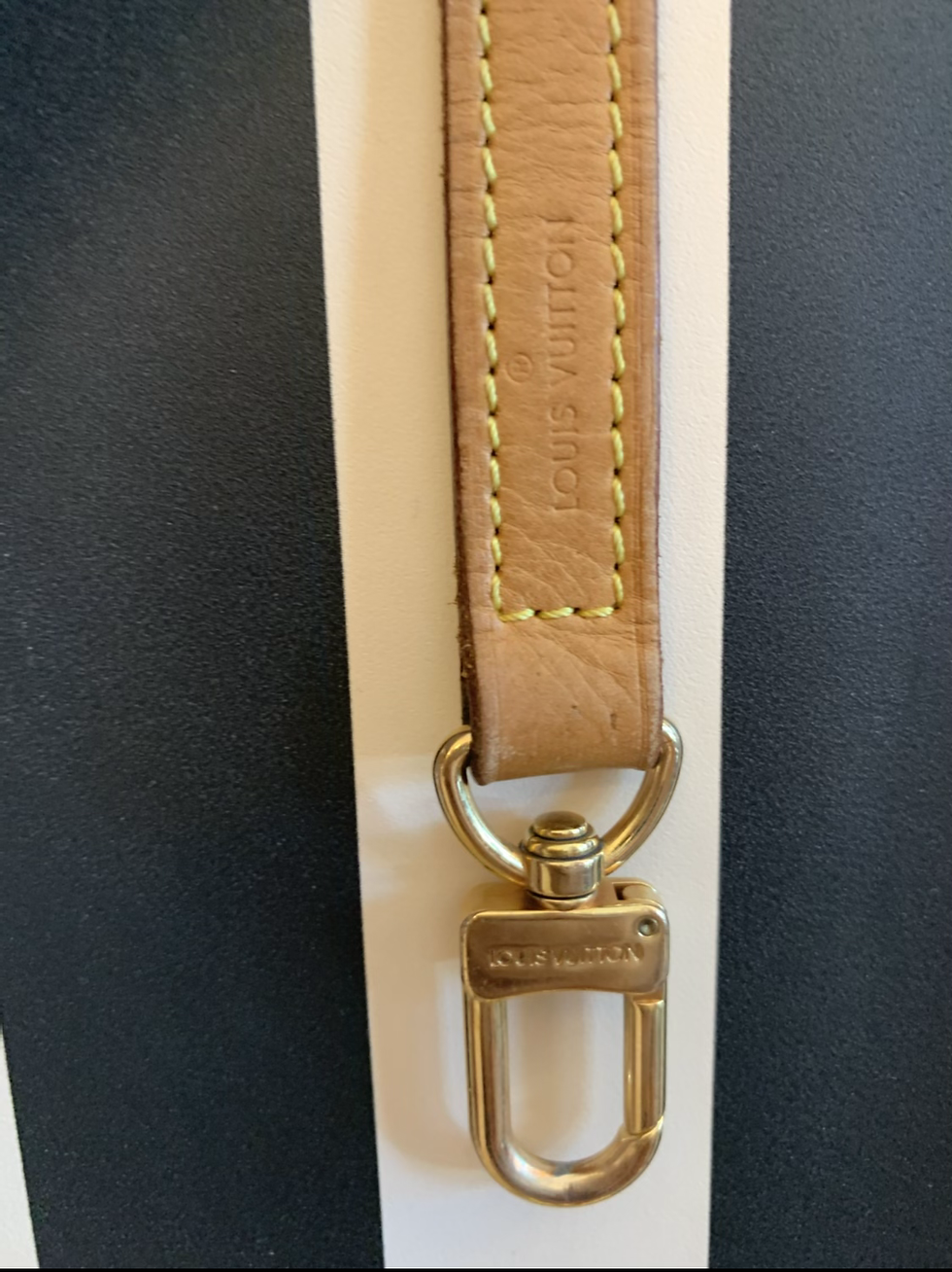 Thumbnail: Louis Vuitton tracolla 