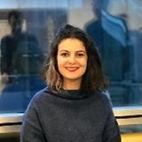 Arzu ISIK TOPBAS