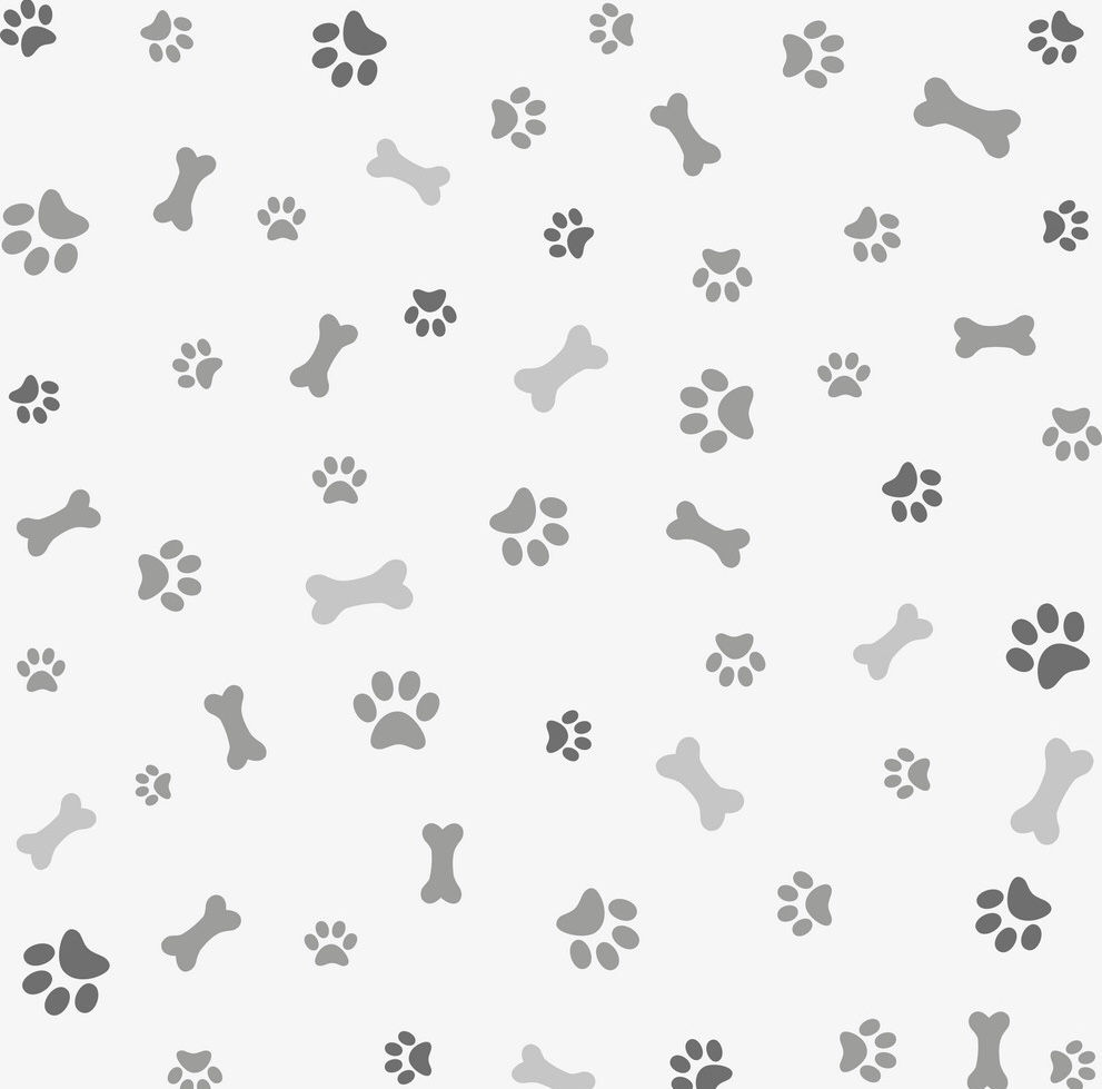 Grid Paws Pet Sitter | Augusta | PAWWD: Pets Are What We Do