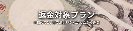 Spring (3).png