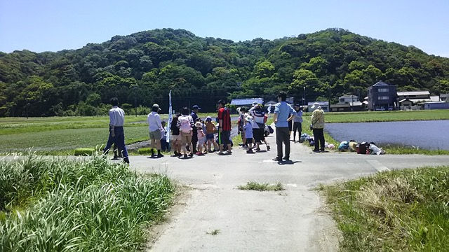 音羽米田植え体験