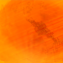 רקעים-01.png