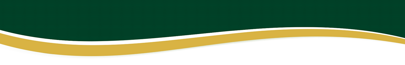 background transparente.png