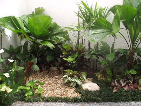 Projeto de Paisagismo