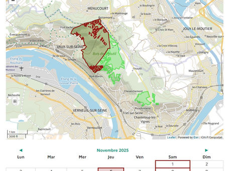 La chasse est ouverte, prudence en forêt de l'Hautil