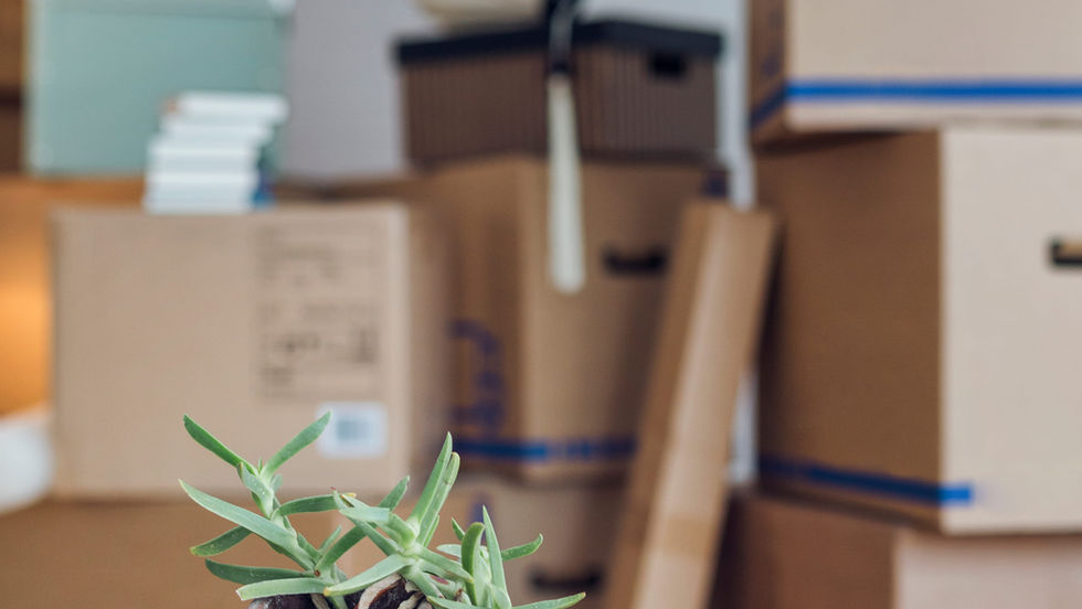 Moving boxes packed in a clean Toronto home representing the complete guide to moving and cleaning in Toronto.
