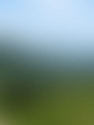 Budget accommodation in Bali for mature travellers – affordable stays with comfort and culture.