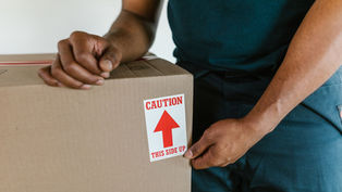 Professional movers carrying boxes into a Toronto home, representing the complete Toronto moving and cleaning guide.
