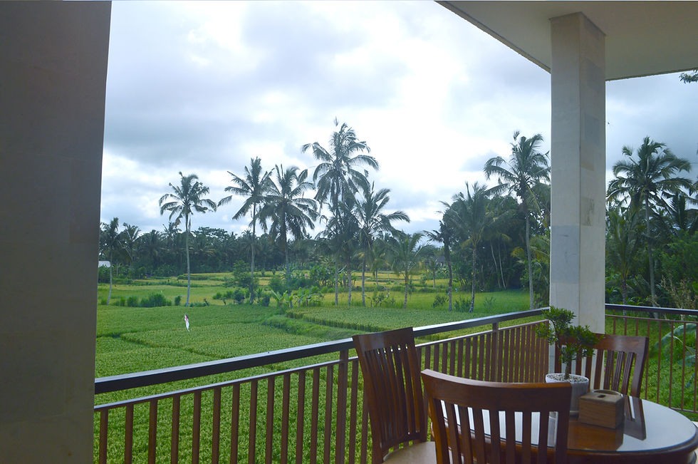 17 Arjuna Balcony.jpg