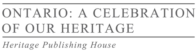 Three words on a grey background. Deep Cleaning Services Toronto. Custom Maids.