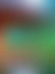 Swimming pool overlooking rice fields – Ubud monthly rental villa