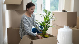 Woman unpacking moving boxes in a Toronto apartment, representing professional move-in cleaning services by Custom Maids Toronto.