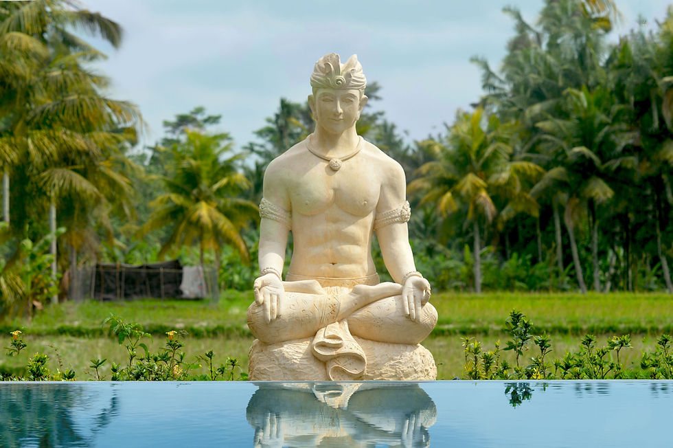 Co-Living Bali | Quite Long-Stay Shared Villa in Ubud