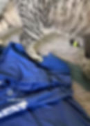 Thumbnail: Scooter for President Tee