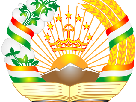 Non-communicable diseases investment case in Tajikistan