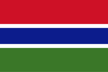 Digital Health investment case in Gambia