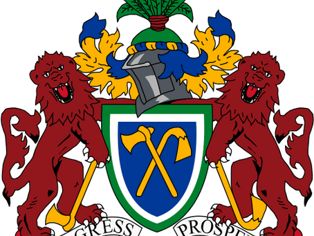 Mental Health investment case in Gambia