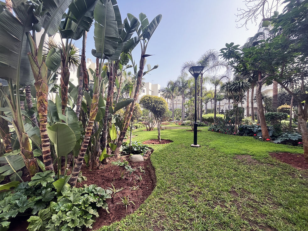 Miniature : Casablanca - Bel appartement en résidence sécurisée à Ain Diab.