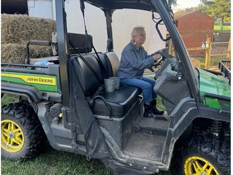 Shepherdess taking hay to the sheep, riding a gator