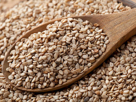 Sesame Seed Report 2023/2024 Season