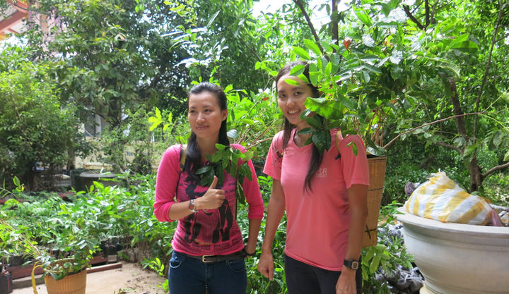 plantation 3.JPG
