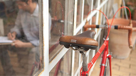 Selle Royal Image 2.jpg